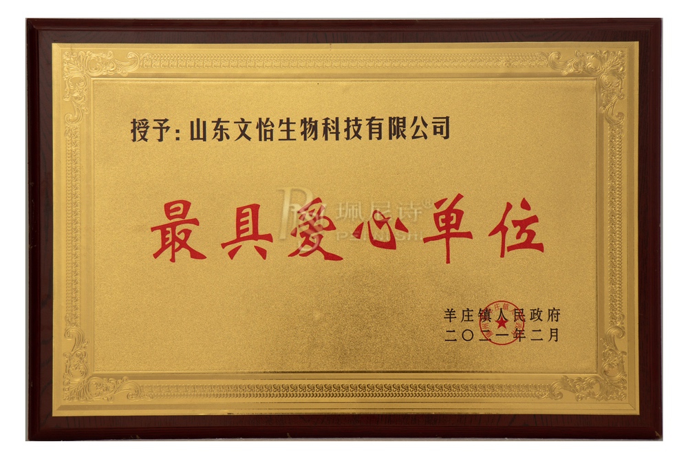 荣誉证书